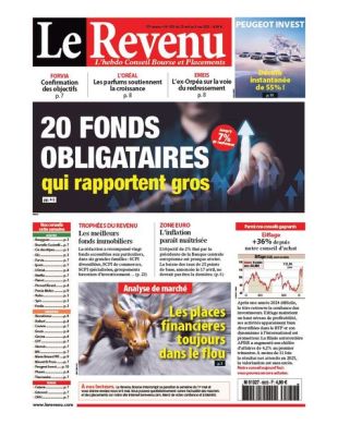 LE REVENU