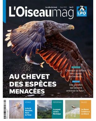 L'OISEAU MAG