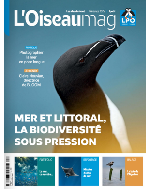 L'OISEAU MAG