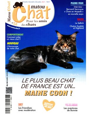 MATOU CHAT