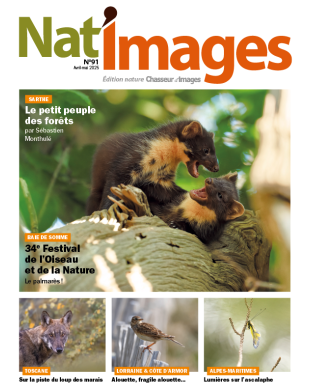 NAT'IMAGES