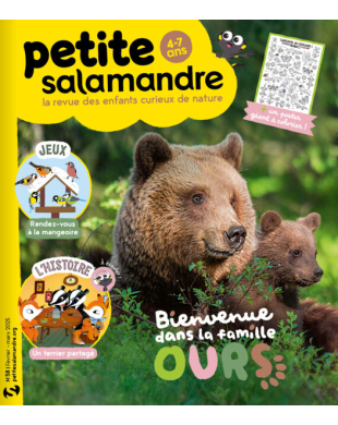 PETITE SALAMANDRE