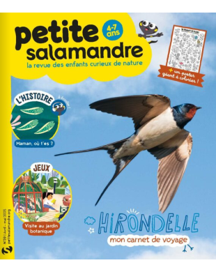 PETITE SALAMANDRE