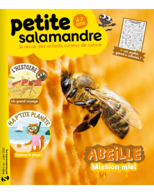 PETITE SALAMANDRE