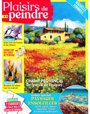 PLAISIRS DE PEINDRE