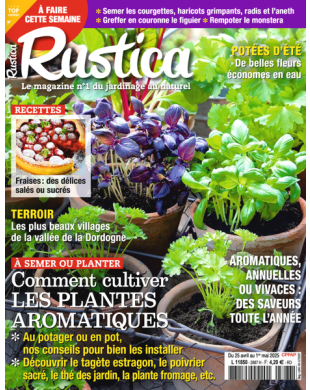RUSTICA