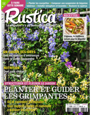 RUSTICA