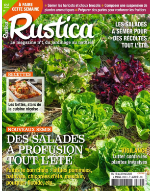 RUSTICA