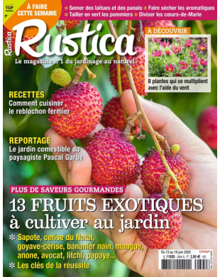 RUSTICA