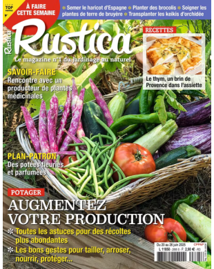 RUSTICA