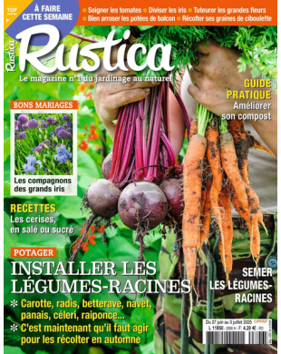 RUSTICA