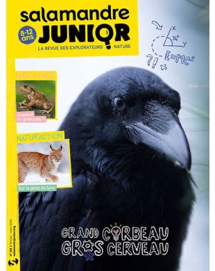SALAMANDRE JUNIOR