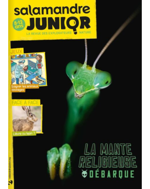 SALAMANDRE JUNIOR