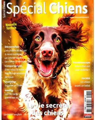 SPECIAL CHIENS