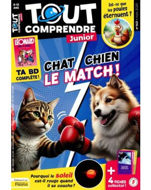 TOUT COMPRENDRE JUNIOR