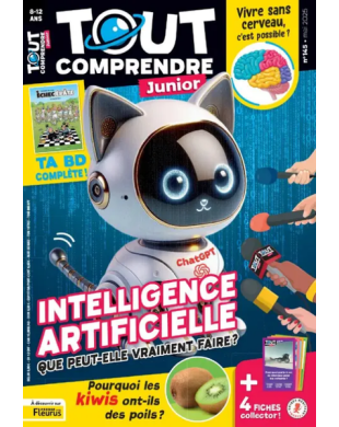 TOUT COMPRENDRE JUNIOR