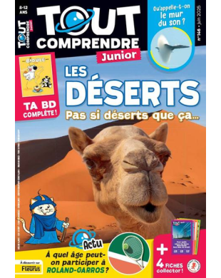 TOUT COMPRENDRE JUNIOR