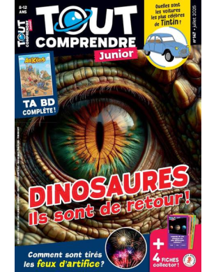 TOUT COMPRENDRE JUNIOR
