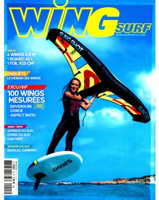 WING SURF