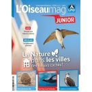 L'OISEAU MAG JUNIOR