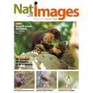 NAT'IMAGES