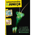 SALAMANDRE JUNIOR
