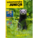 SALAMANDRE JUNIOR