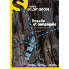 SALAMANDRE