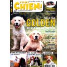 TOUT CHIEN