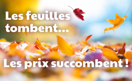 Offre speciale automne